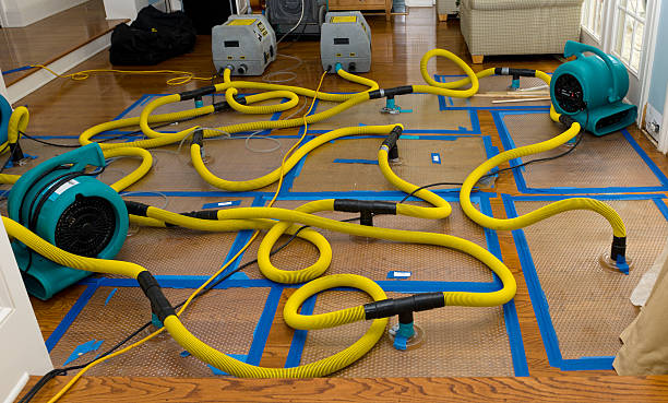 Professional Sewage Cleanup technician working in Peapack, NJ
